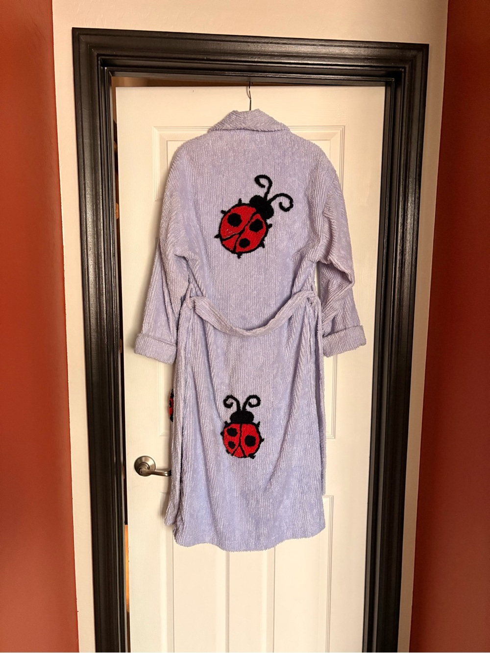 “Lady Bug” Canyon Group Robe (Small) - Picture 2 of 3